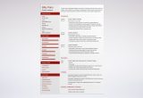 Sample Graphic Design Resume Objective Statement Graphic Designer Resume: Examples & Tips for 2022