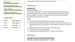 Sample Ground Support Equipment Airport Mechanic Resume Aircraft Maintenance Engineer Cv Sample 2022 Writing Tips …