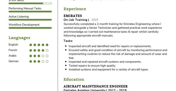 Sample Ground Support Equipment Airport Mechanic Resume Aircraft Maintenance Engineer Cv Sample 2022 Writing Tips …