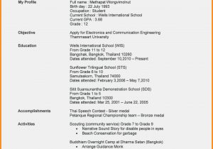 Sample High School Resume for First Job 11 12 Resume Examples for Teenagers First Job