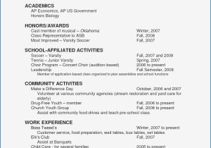 Sample Honors and Awards On Resume 11 Government It Resume Examples Check More at Https://www.ortelle …