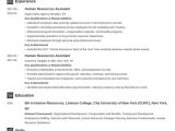 Sample Hr assistant Resume Free Download Hr assistant Resume Example Template Newcast
