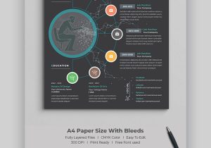 Sample Hr Director Infographic Resumes Templates 30lancarrezekiq Best Infographic Resume Cv Templates (creative Examples for 2022)
