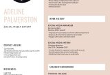 Sample Hr Director Infographic Resumes Templates Feminine Modern Infographic Resume – Templates by Canva