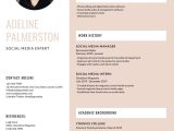 Sample Hr Director Infographic Resumes Templates Feminine Modern Infographic Resume – Templates by Canva