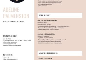 Sample Hr Director Infographic Resumes Templates Feminine Modern Infographic Resume – Templates by Canva