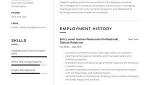 Sample Hr Resumes for 2 Years Experience Entry Level Hr Resume Examples & Writing Tips 2021 (free Guide)