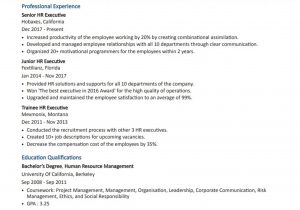 Sample Hr Resumes for Hr Executive Hr Executive Resume Example (best Action Verbs & Skills) Priwoo