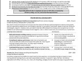 Sample Hr Resumes for Hr Executive Human Resources Resume Example – Distinctive Career Services