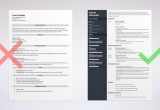 Sample Internship Resume for Computer Science Computer Science Internship Resume Template [cs Student]