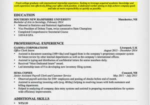 Sample Job Objectives for A Resume How to Write A Career Objective A Resume