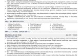Sample Marketing Executive Resume with Community Involvement Chief Marketing Officer Resume Examples & Template (with Job …