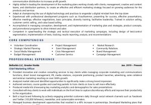 Sample Marketing Executive Resume with Community Involvement Chief Marketing Officer Resume Examples & Template (with Job …