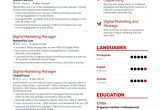 Sample Marketing Executive Resume with Community Involvement Digital Marketing Executive Resume Samples [with 5lancarrezekiq Examples …