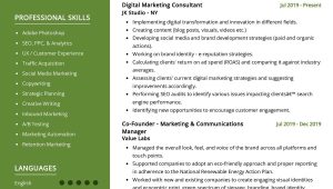 Sample Marketing Executive Resume with Community Involvement Digital Marketing Manager Resume Sample 2022 Writing Tips …