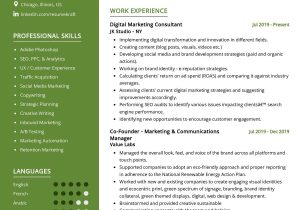 Sample Marketing Executive Resume with Community Involvement Digital Marketing Manager Resume Sample 2022 Writing Tips …