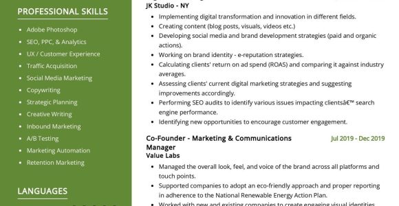 Sample Marketing Executive Resume with Community Involvement Digital Marketing Manager Resume Sample 2022 Writing Tips …