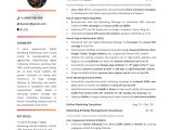 Sample Marketing Resume 1 Year Experience How to Write A Digital Marketing Resume: 2022 Guide with 10lancarrezekiq Examples