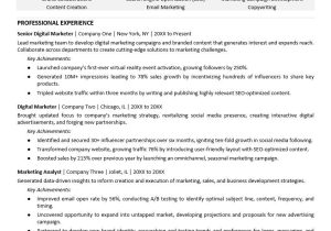 Sample Marketing Resume for A Job Digital Marketing Resume Monster.com