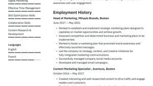 Sample Marketing Statement for Your Resume Marketing Resume Examples & Writing Tips 2022 (free Guide)
