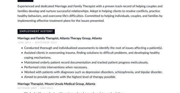 Sample Mft Resume County Job Clients Served Marriage and Family therapist Resume Example & Writing Guide