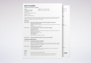 Sample National Democratic Institute Job Resume Professor Cv: Example, Template & Writing Guide [20lancarrezekiq Tips]