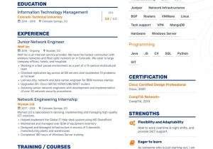 Sample Network Engineer Resume Entry Level Network Engineer Resume Samples and Writing Guide for 2022 (layout … Sample Network Engineer Resume Entry Level Network Engineer Resume Samples and Writing Guide for 2022 (layout …