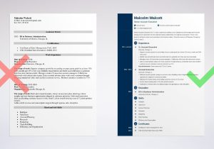 Sample New Business Account Executive Resume Account Executive Resume Sample (20lancarrezekiq Best Examples)