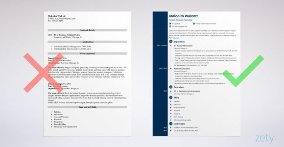 Sample New Business Account Executive Resume Account Executive Resume Sample (20lancarrezekiq Best Examples)