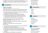 Sample New Business Account Executive Resume Account Executive Resume Template 2022 Writing Tips – Resumekraft