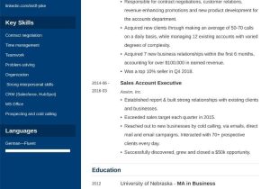 Sample New Business Account Executive Resume Account Executive Resumeâsample & 25lancarrezekiq Writing Tips