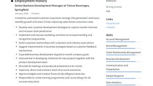 Sample New Business Development Sales Resume Business Development Manager Resume & Guide 2022