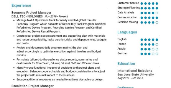 Sample Non It Project Manager Resume Project Manager Cv Sample 2022 Writing Tips – Resumekraft