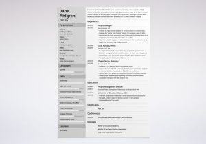 Sample Non It Project Manager Resume Project Manager (pm) Resume / Cv Examples (template for 2022)