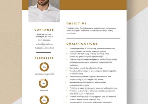 Sample Non Profit Environmental Program Officer Resume Non Profit Program Manager Resume Template – Word, Apple Pages …