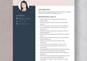 Sample Non Profit Environmental Program Officer Resume Non Profit Program Manager Resume Template – Word, Apple Pages …