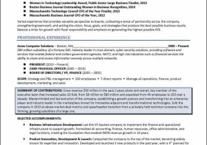 Sample Non Profit Executive Director Resume 3 Board Of Director Resume Examples – Distinctive Career Services