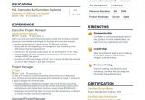 Sample Non Tech It Program Manager Resume 4 Job-winning Project Manager Resume Examples In 2022 (layout …