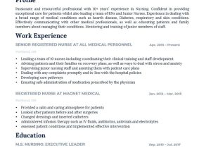 Sample Nurisng Resumes for Transition to Leadership the Best Nurse Cv/rÃ©sumÃ© Examples and Templates