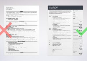 Sample Nurse Practitioner Resume Still In School Nurse Practitioner Resume: Examples & Template