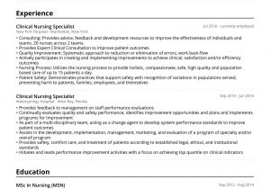 Sample Nursing Resume with Clinical Experience Nursing Resume Example & Guide [2021] – Jofibo