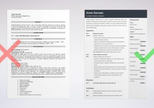 Sample Objectives for Resume In Medical Field Medical Resume Examples & Templates for Medical Field