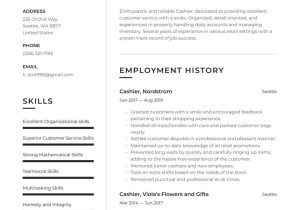 Sample Objectives for Resume In Retail Retail Cashier Resume Examples & Writing Tips 2022 (free Guide)