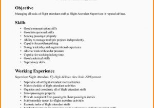 Sample Objectives for Resume with No Experience No Work Experience Resume Comfortable 7 Flight attendant Resume No …