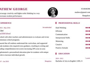 Sample Objectives for Resumes Higher Education Jobs Best Career Objective for Teacher Resume – My Resume format – Free …