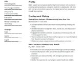 Sample Objectives for Resumes In Nursing Nursing Home Resume Examples & Writing Tips 2022 (free Guide)