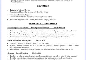 Sample Objectives for Resumes Law Enforcement Building Your Promotional Resume? Consider these Sections – Police …