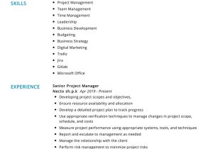 Sample Objectives for Resumes Project Management Project Manager Resume Example 2022 Writing Tips – Resumekraft