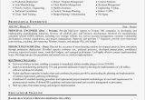Sample Objectives for Resumes Project Management Technical Project Manager Resume Project Management Resumes …