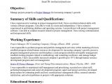 Sample Objectives In Resume for Business Administration Great Objective Statements for Resume – Ferel